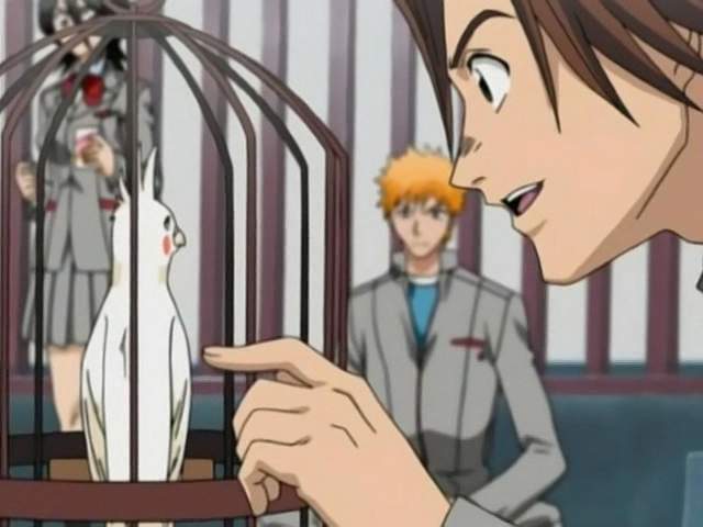 Otaku Gallery  / Anime e Manga / Bleach / Screen Shots / Episodi / 004 - Il pappagallo maledetto / 037.jpg